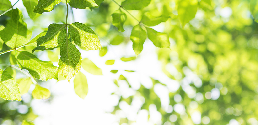 Processing Grief Through Talking, Somatic Therapies, and Intensives